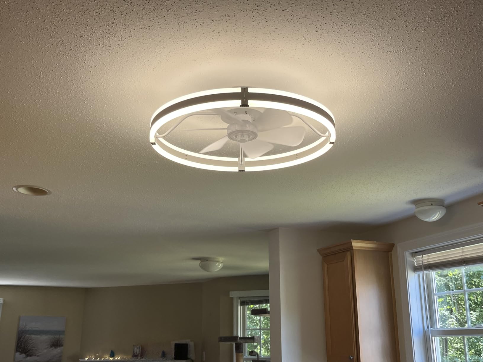 ZMISHIBO Low Profile 19.7'' Ceiling Fans with Lights and Remote, Black customer photo 1