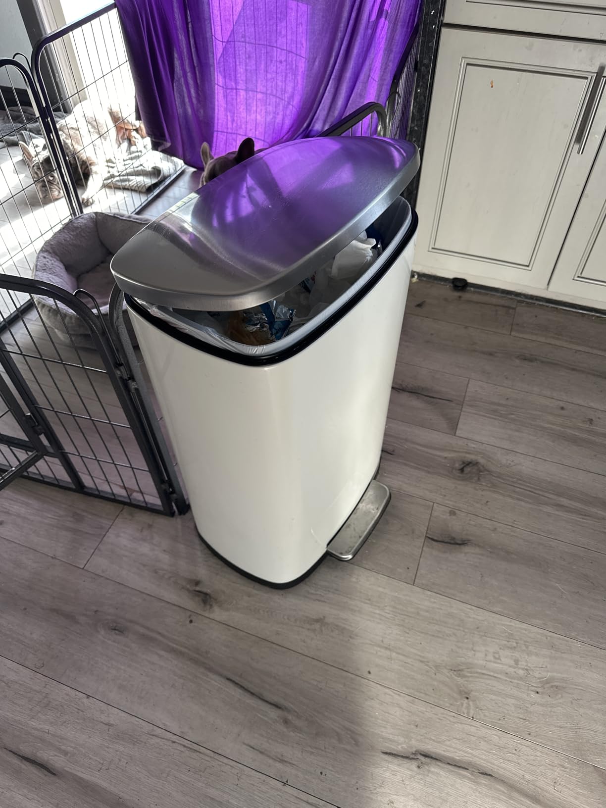 iTouchless 13.2 Gal / 50L Slim Step Pedal Kitchen Trash Can | Odor Filter customer photo 1