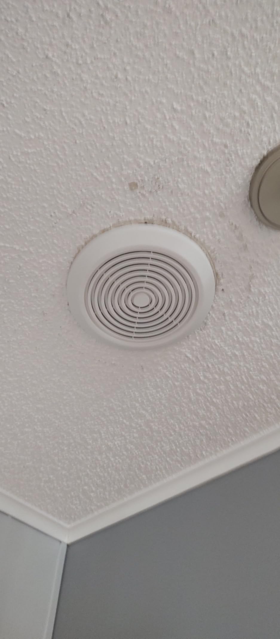 V2262-50 7 Inch Bathroom Exhaust Fan, 50 CFM, 1.0 Sones, 7