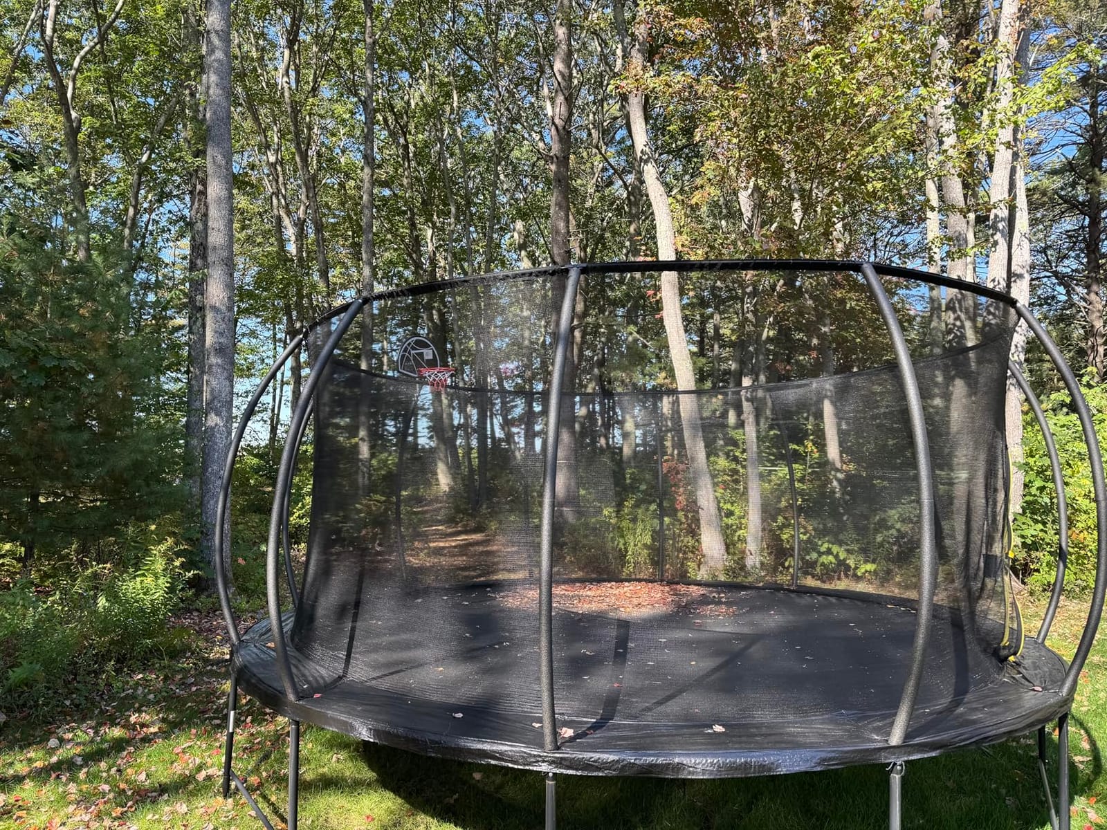 Lyromix 12 14 15 16FT Outdoor Trampolines for Kids and Adults, Pumpkin Trampolin with Curved Poles, Recreational Trampolin with Basketball Hoop and Safety Enclosure Net for Kids and Adults customer photo 1