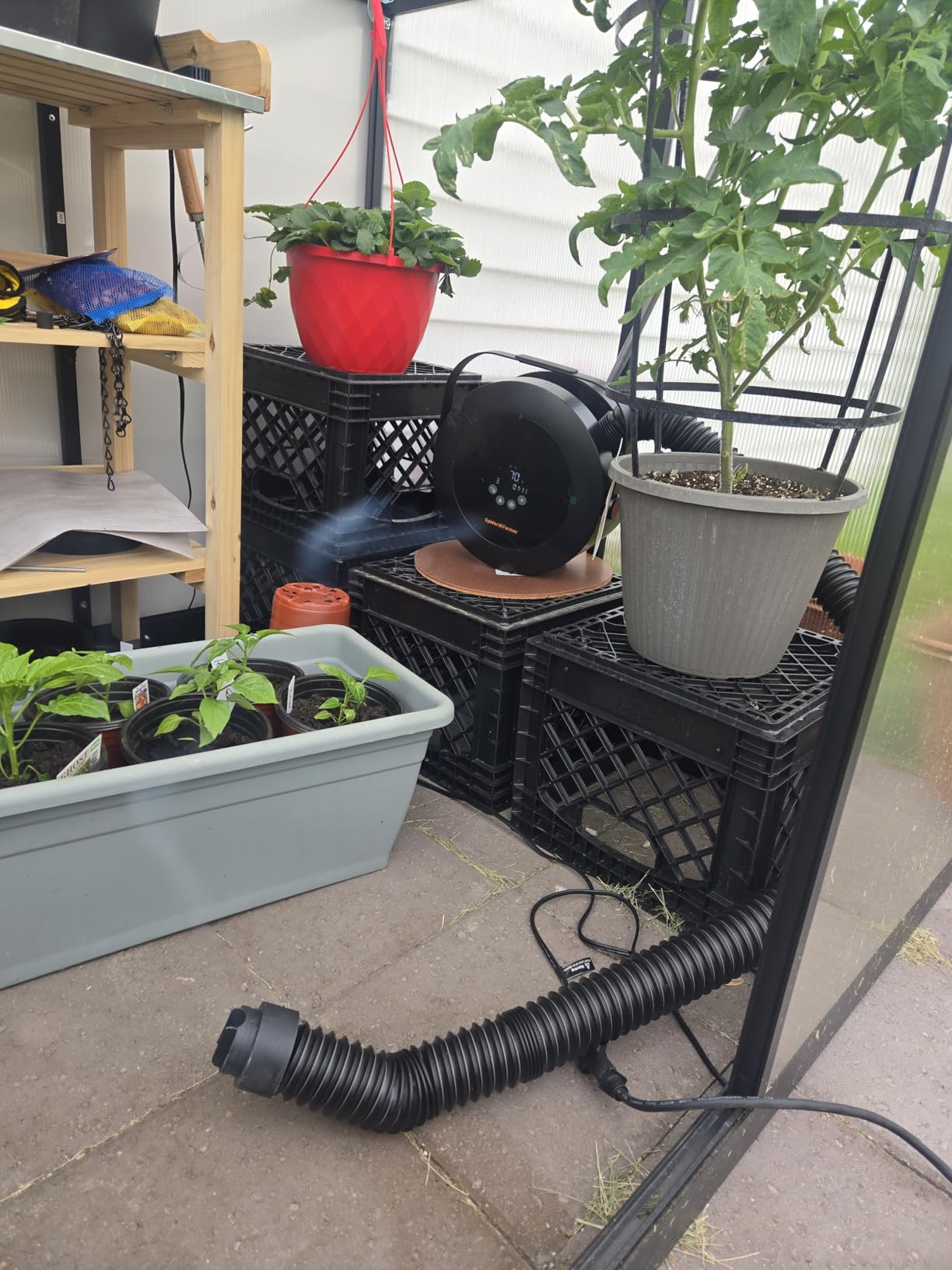 Spider Farmer Heater,530W 10-Level PTC Heating for Grow Tent,Plant Room | Portable Heater with Extension Hose,Smart Temperature Control,24H Timer customer photo 1