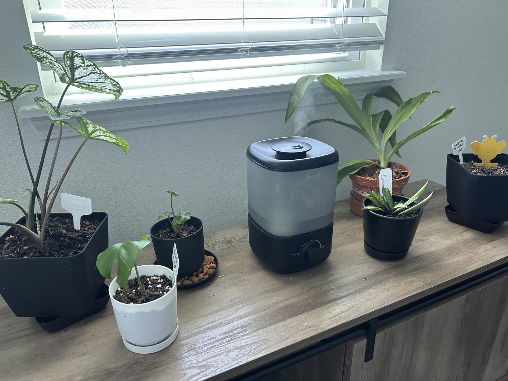 Levoit Evaporative Humidifiers for Bedroom Baby, Dual Air and Water Filters customer photo 1