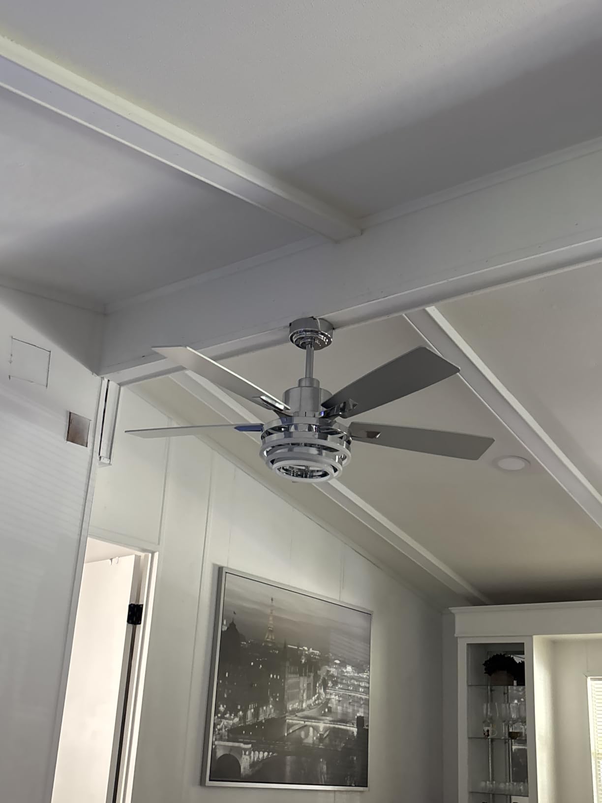 72 Inch Large Gold Modern Ceiling Fans with Lights customer photo 2