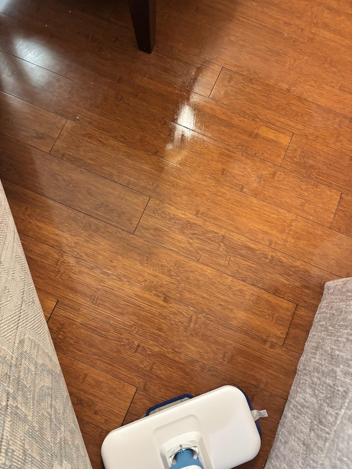 Amazon Basics Steam Mop for All Sealed Hard Floors, Heats Up in 30 Seconds, Chemical-Free Cleaning, 3 Washable Pads, 20-Foot Cord, White customer photo 2
