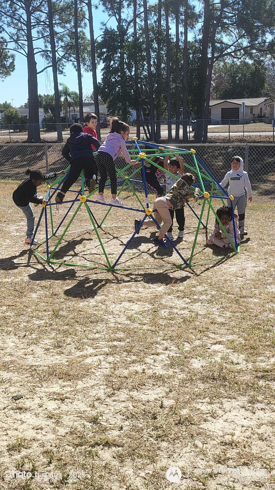 GVDV 10 FT Climbing Dome with Hammock, Jungle Gym for Kids, Green & Blue customer photo 1
