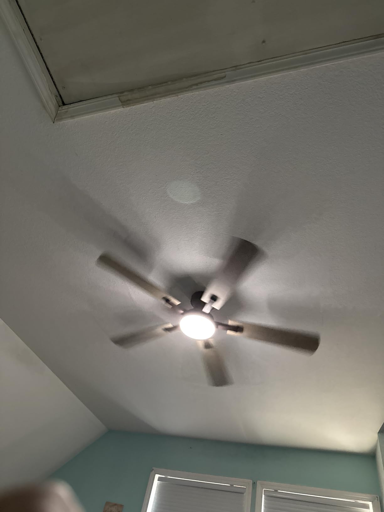 ZMISHIBO 60 Inch Ceiling Fans with Lights, Remote&App Control, Flush Mount customer photo 2