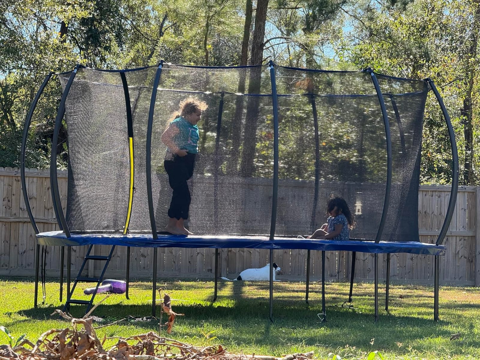 ORCC 1300LBS Weight Capacity Trampoline 16 15 12FT with Basketball Hoop Water Sprinkler Spiral Ground Stakes Outdoor Yard Trampolines for Kids Adults customer photo 1