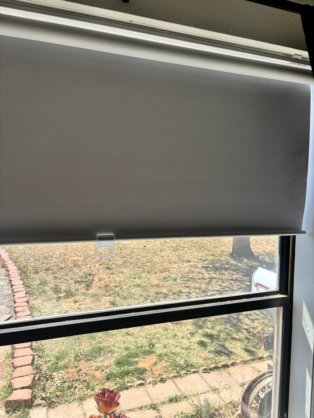 Changshade Blackout Roller Shades Cordless for Windows,100% Room Darkening Window Blinds for Bedroom,Thermal Insulated UV Protection,Easy Install Pull Down Shades for Home,24