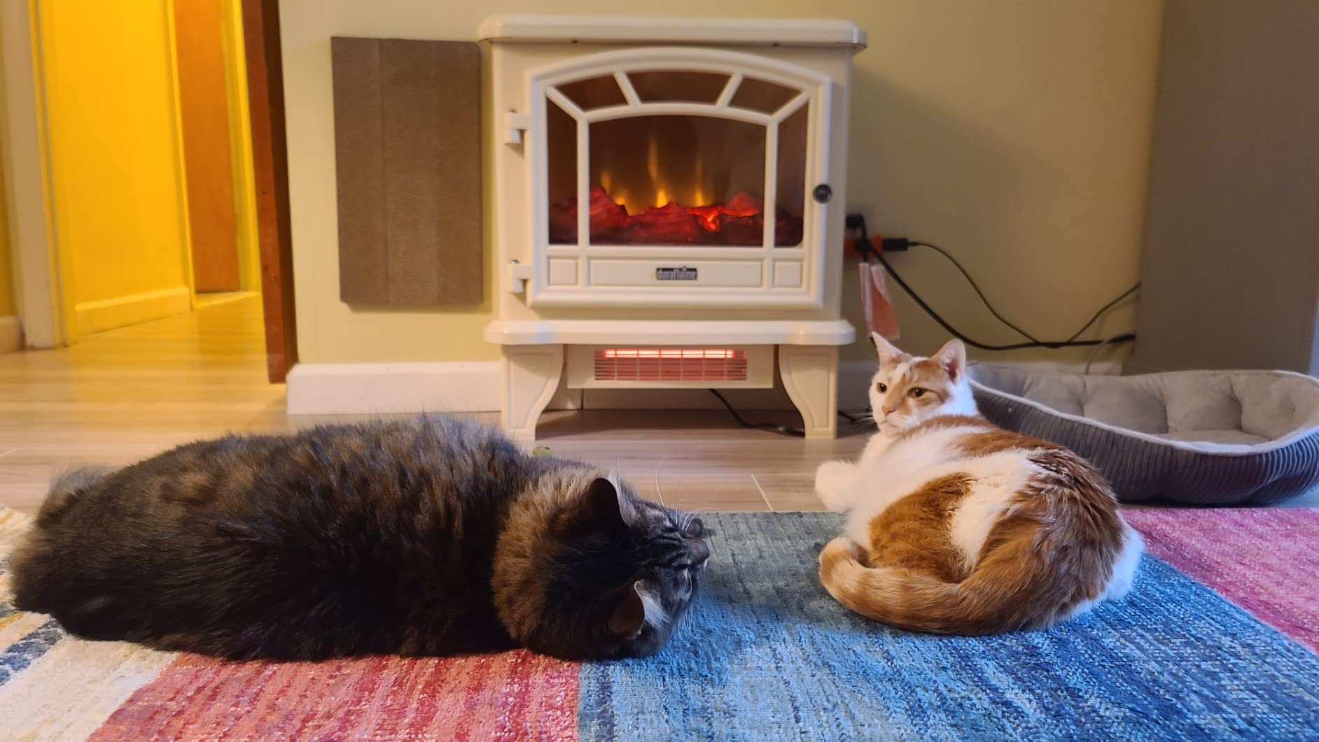 duraflame® Infrared Quartz Electric Fireplace Stove Heater, Bronze customer photo 1