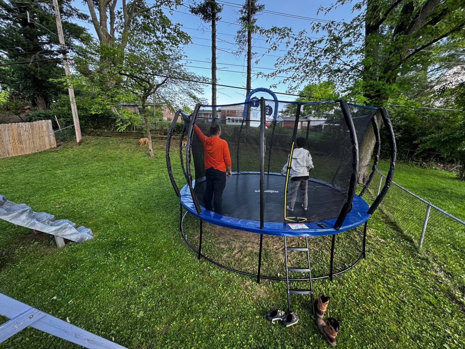 Zupapa 1800LBS Capacity Double Frame Trampoline 16 15 14 12FT No-Gap Safety Design Curved Poles & Basketball Hoop 10-Year Quality Assurance Perfect for Kids & Family Outdoor Fun customer photo 1