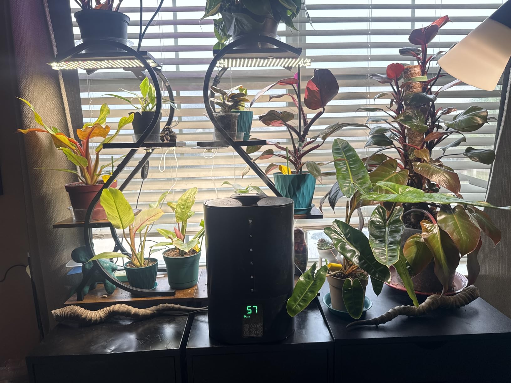 Coolfiqu 6L Warm & Cool Mist Humidifiers for Bedroom,Large Room,Plants customer photo 2