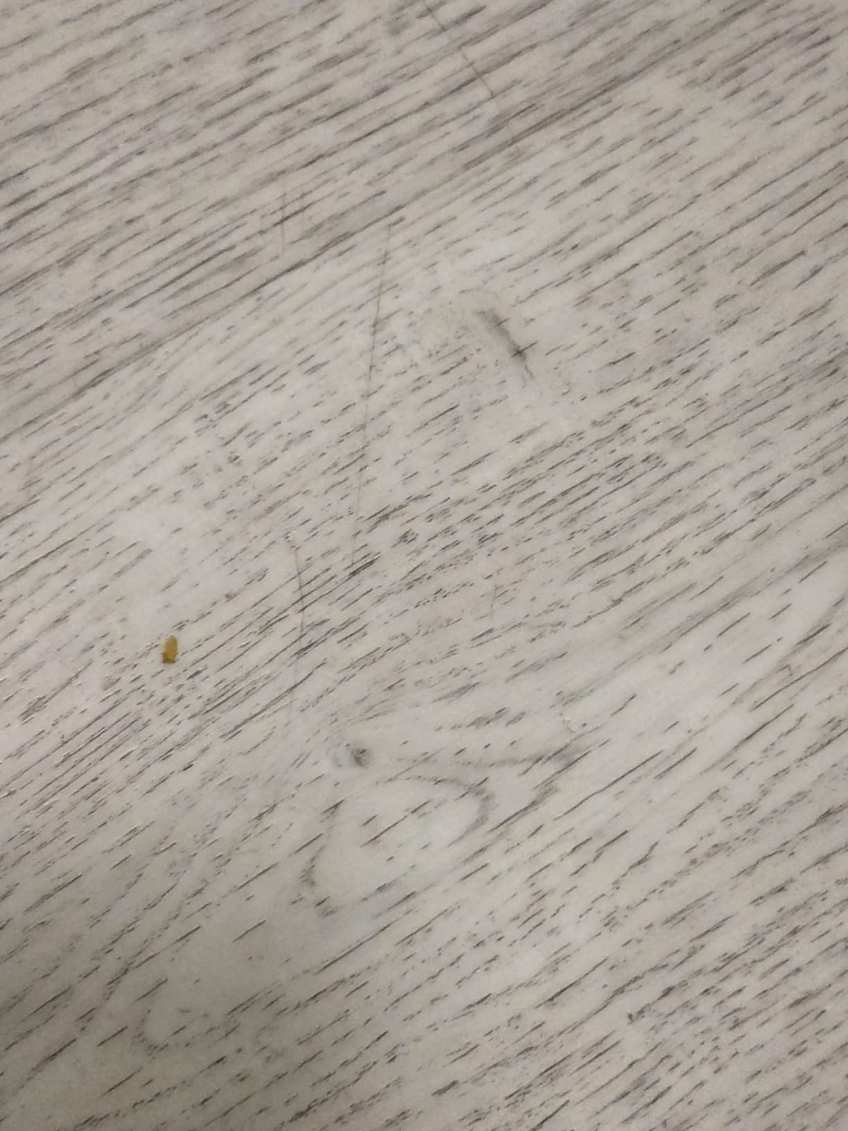 Steam Mop Cleaner 260°F Steam in 15s, 16.9oz Tank Hardwood and Tile customer photo 1