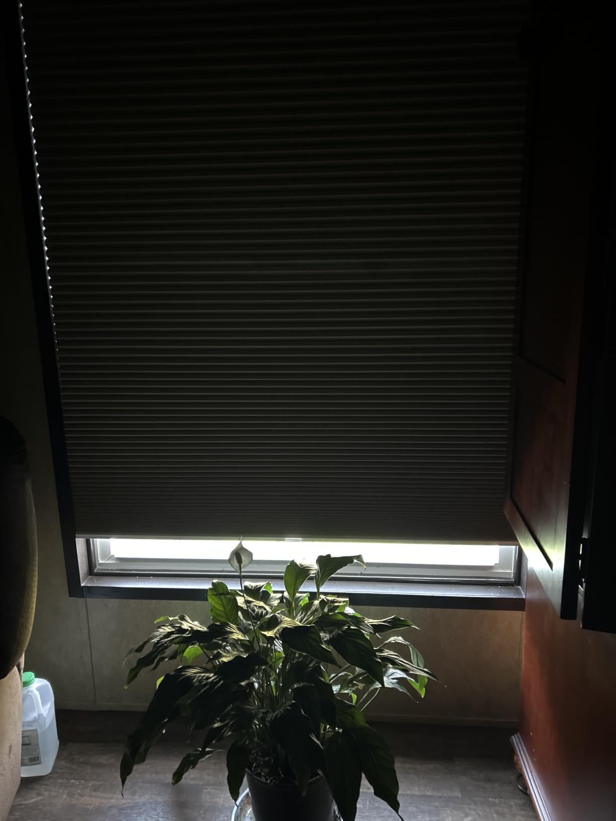 Changshade Cordless Cellular Shades,Blackout Honeycomb Shades for Windows,Pull Down Pleated Blinds,Easy to Install for Indoor Windows and French Doors,White(Blackout),34.5