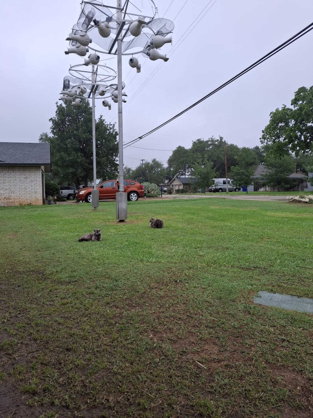 TIECTOWN 2026 Upgrade 16-Inch 15.5A Electric Dethatcher & Scarifier, Green customer photo 1