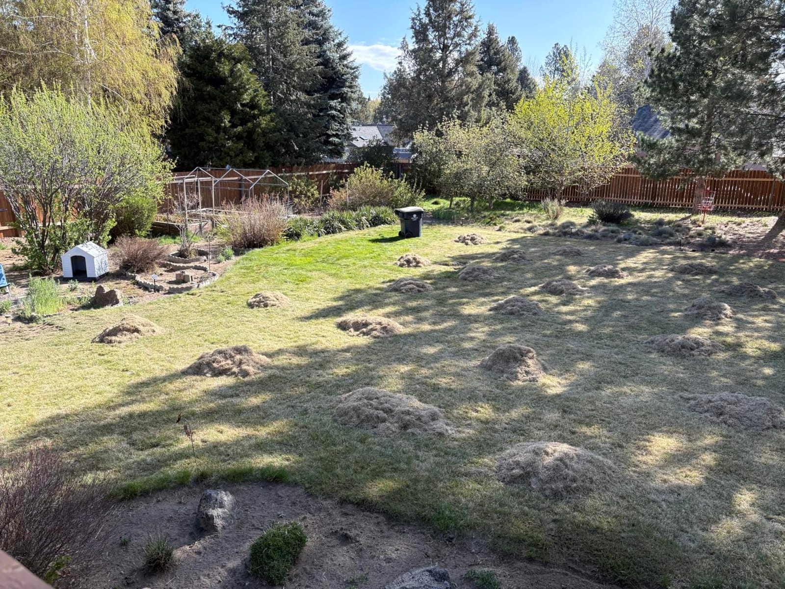 TIECTOWN 2026 Upgrade 16-Inch 15.5A Electric Dethatcher & Scarifier, Green customer photo 2