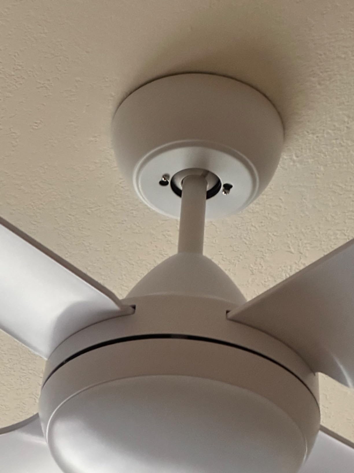 Newday 52 Inch Black IP66 Waterproof Outdoor Ceiling Fan with Light Remote customer photo 2