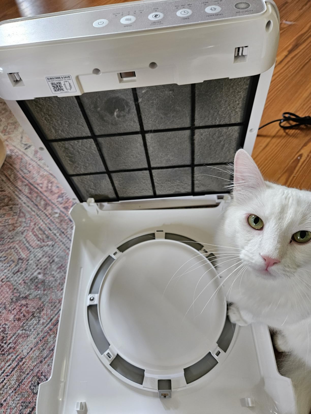 COWAY Airmega Mighty2 Air Purifier, Next Gen of AP-1512HH, for Large Room & Home Cleans up to 1,800 ft², IEST certified HEPA and Active Carbon for Allergies, Smoke, Dust, Pets & Mold, AP-1512N(BG) customer photo 1