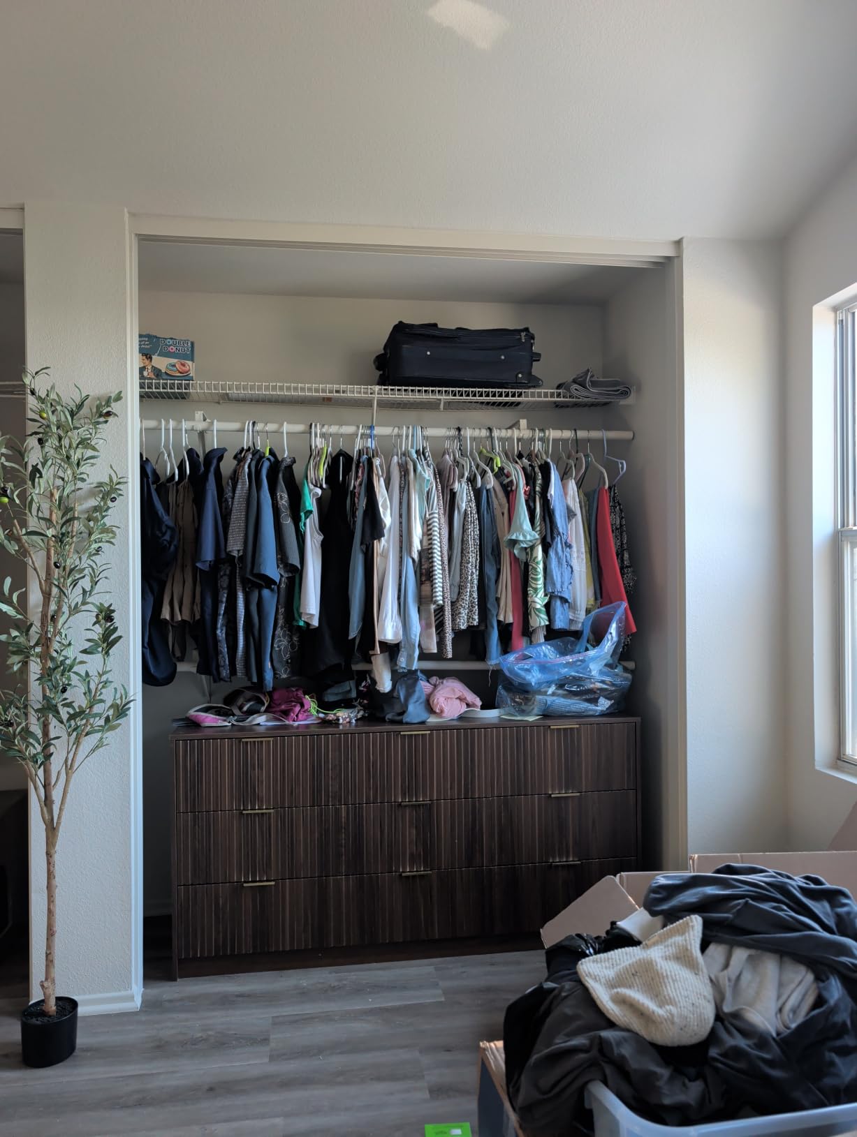 MAISONARIA 55