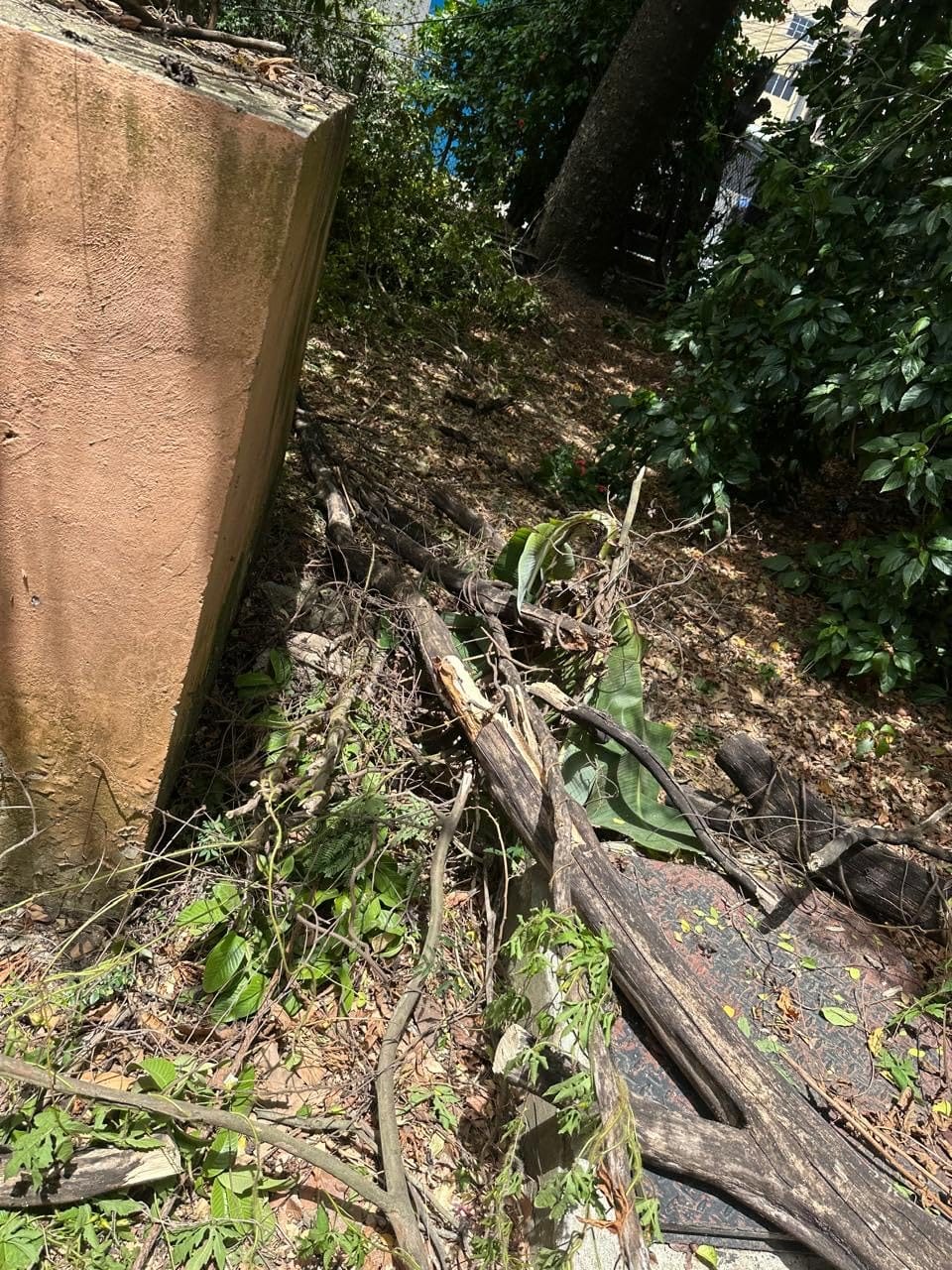 SEESII 2-in-1 Electric Pole Saws for Tree Trimming, Brushless Motor customer photo 1