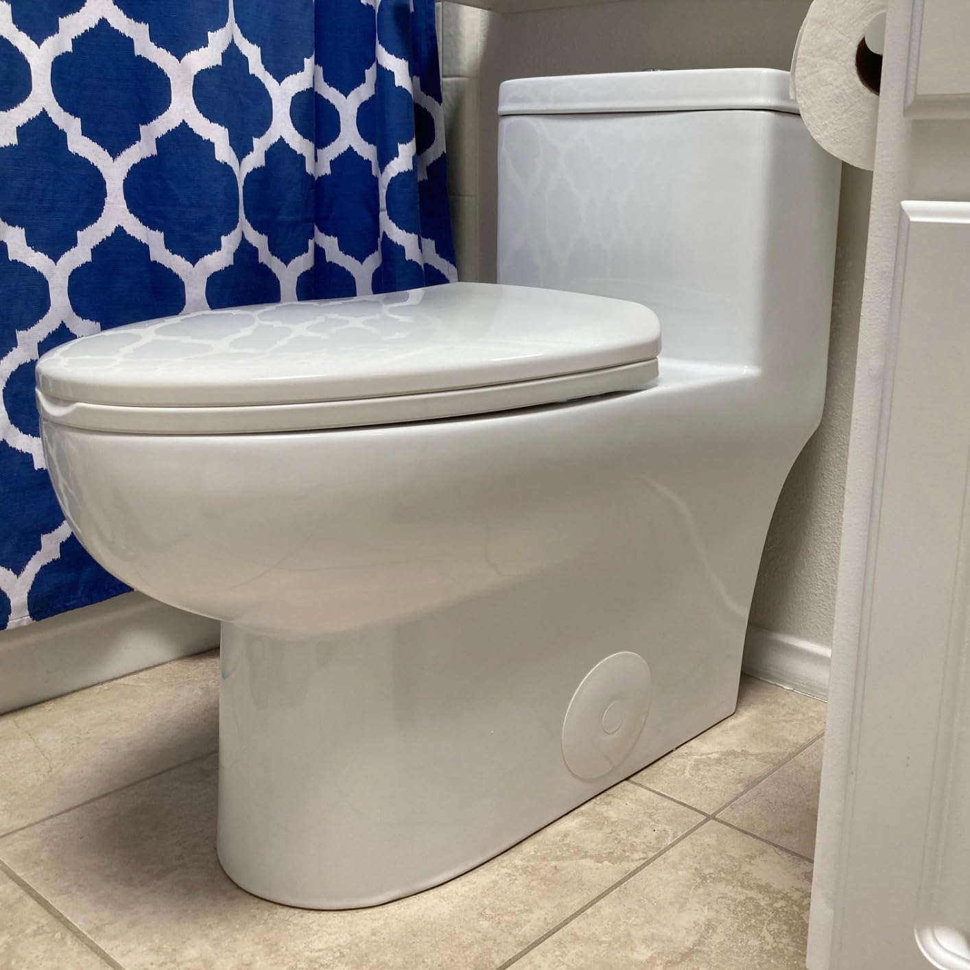 DeerValley Elongated One Piece Toilet with Efficient Dual Flush 1.1/1.6 GPF customer photo 1
