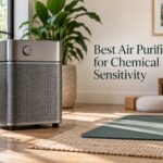 Best Air Purifiers for Chemical Sensitivity