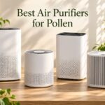 Best Air Purifiers for Pollen