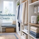 Best Dehumidifiers for Closets