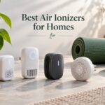 Best Air Ionizers for Homes