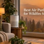 Best Air Purifiers for Wildfire Season