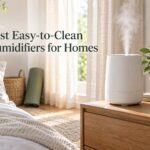 Best Easy-to-Clean Humidifiers for Homes