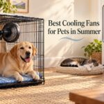 Best Cooling Fans for Pets in Summer