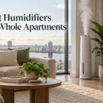 Best Humidifiers for Whole Apartments