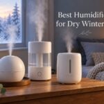 Best Humidifiers for Dry Winter Air