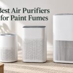 Best Air Purifiers for Paint Fumes