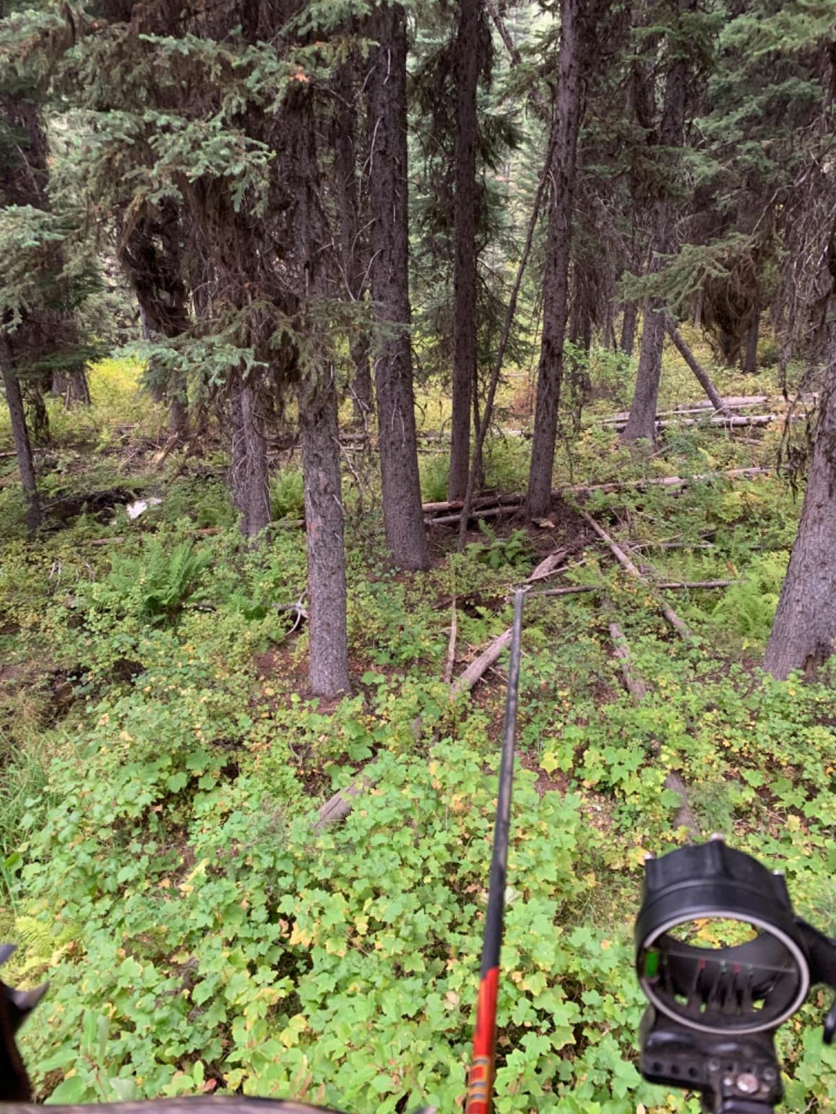 Summit Treestands Viper SD Climbing Treestand customer photo 2