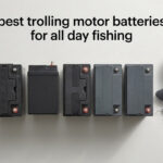 best trolling motor batteries for all day fishing